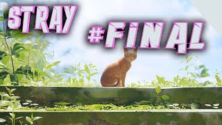 Счастливый финал - Stray #Final - Прохождение