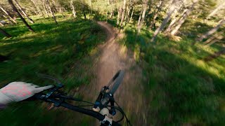 Atherton Mountain Bike Park, Track 9 descent (Ricochet)