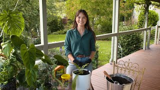 Seasol Potting Mix Booster \u0026 PowerFeed Indoor \u0026 Potted Plants with Bonnie from The Garden Gurus