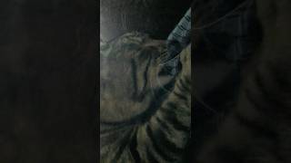 Unholy Kneading Ritual Caught On Camera