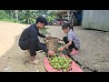 The poor boy and girl repaired the duck coop and picked wild fruits to sell - Ly Ton Quang