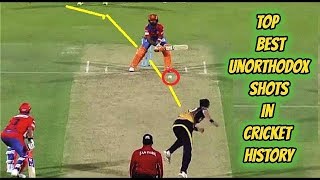 Top 10 crazy shots in the cricket history HD :
