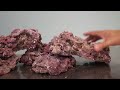 how to grow coralline algae in your aquarium where you do and don t want it in your reef tank