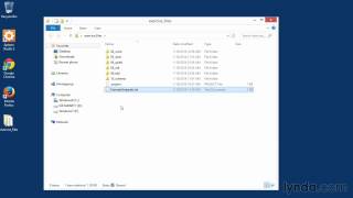 03 Using the exercise files and snippets