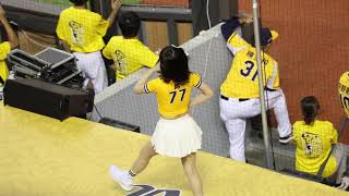 20240922-中信兄弟周思齊引退賽-峮峮-進取勝利下台下的學妹 #cheerleader #cpbl #美女 #中信兄弟