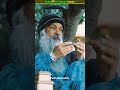 ये हैं osho की top 5 famous books shorts osholife