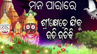 ମନ ପାରାରେ ଶ୍ରୀକ୍ଷେତ୍ରେ ଯିବୁ  ଉଡି ଉଡିକି ||jay Jaganath || bhajan