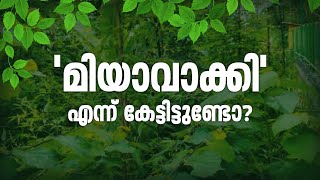 'മിയാവാക്കി' എന്ന് കേട്ടിട്ടുണ്ടോ? ഒരു കാട് നട്ടുവളർത്തിയ കഥ | Mathrubhumi News