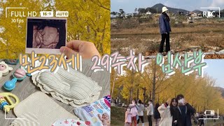 20대임산부vlog🍼/직장인임산부/29주차/아들맘/만23살임산부