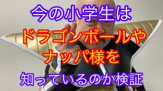 今の小学生はナッパを知っているのか検証！ナッパ芸人ぴっかり高木が山梨住みます芸人の時に小学生にドラゴンボールを知ってるかインタビューした結果