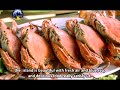 សម្រស់កែប​ kep beauty english subtitle