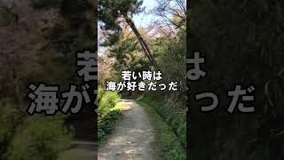 【鳥のさえずり】自然｜山｜ウグイスの鳴き声｜癒される #Shorts