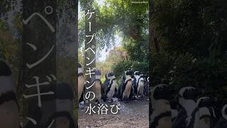 木陰にエスケープ