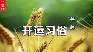 【二十四节气】明日芒种，这些转运习俗，千万别错过