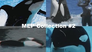 MEP Collection #2