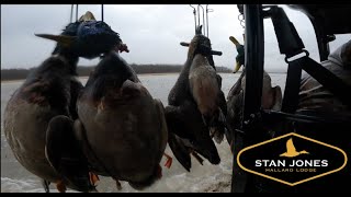 MALLARDS and PINTAILS IN THE RAIN! - Stan Jones Mallard Lodge