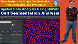 Spatial Data Analysis Using QuPath: Cell Segmentation Using QuPath Standard Cell Detection method