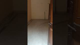 2bhk rent ke leye available hai noida sector 47 rent-23k immediately #realestate #noidaproperty