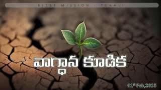 వాగ్ధాన కూడిక || 01st FEB 2025 ||  BIBLE MISSION - TENALI