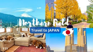 5年ぶりの日本帰国【超大型犬 3頭とカナダで田舎暮らし・海外生活】