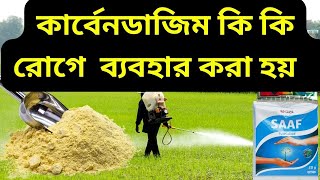 কার্বেন্ডাজিম 50% ছত্রাকনাশক কি কি রোগ নিরাময় করতে পারে?#carbendazim