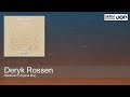 Deryk Rossen - Madness (Original Mix) [Piston Recordings]