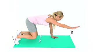 Quadruped Knee Hovers Arm Extension