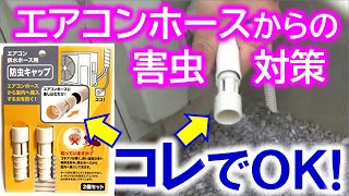 エアコンホースからゴキブリ！？100円ショップで売っている防虫キャップで対策✨さらに小さな虫には水切りネットを併用✌