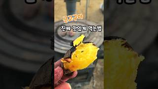 군고구마 진짜 맛있는 먹는법 #화목난로