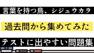 【テスト対策】言葉を持つ鳥、シジュウカラ・一問一答【過去問】