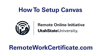 How To Set Up Canvas And Navigate The Professional Program