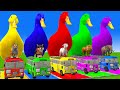 5 Giant Duck Cartoon,Cow,Elephant,Tiger,Lion,Gorilla, Paint Wild Animals Crossing Fountain Animation