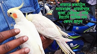 পাখির হাটে দেশি-বিদেশি পাখির দাম কত জানুন | ককাটেল, লাভবার্ডস, বাজরীগার, ইত্যাদি পাখির দাম জানুন |