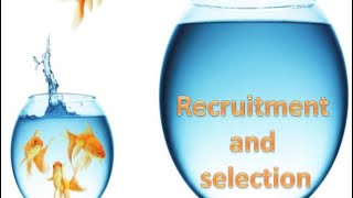 HR Recruitment & Selection Process   HRM
