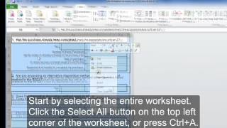 Creating Accessible Microsoft Excel 2010 Documents: Accessible Excel Forms, Part 2