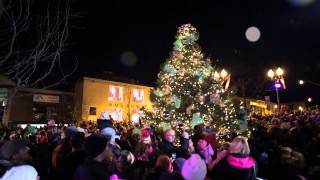 Downtown Oakville Tree Lighting Ceremony 2014