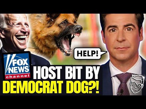 Fox News Anchor ATTACKED By Rabid 'Democrat' Dog: 'Bit Me In The Balls!'