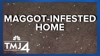 What are your legal rights when it comes to infestation?