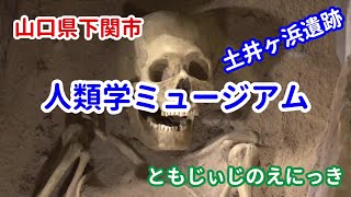 山口県下関市にある「人類学ミュージアム」に行ってきました。