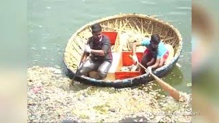 Why Hundreds of Dead Fish Washed Ashore on Bengaluru Lake