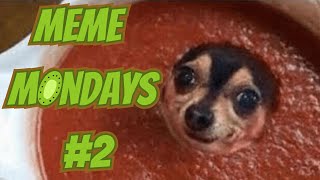 Another 8 MINUTES Of FUNNY MEMES | MEME MONDAYS #2 |