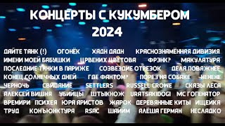 Концерты с Кукумбером - итоги 2024 года