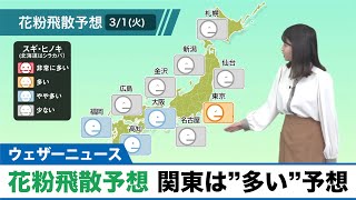 【3月1日(火)の花粉飛散予想】西から下り坂も関東は”多い”予想