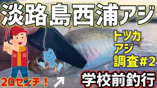 淡路島西浦トツカアジ調査＃2  尺アジは不発も〇〇〇が釣れた！【淡路島釣り】