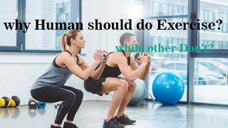 why Human should Exercise  Other Species Don't? ஏன் மனிதர்கள் மட்டும் உடற்பயிற்சி செய்ய வேண்டும?