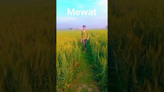 mevan ne bigadi Mewat@Gang 93 #shorts #mewati #shortvideo #trending #ytshorts #gang93