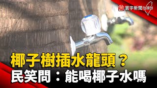 椰子樹插水龍頭？民笑問：能喝椰子水嗎 @globalnewstw