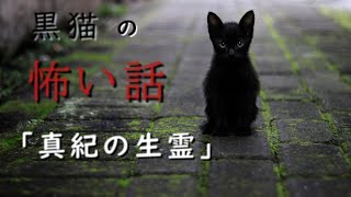 【怖い話】【朗読】【黒猫の怖い話】「真紀の生霊」　投稿者　夕暮怪雨様　奇々怪々より