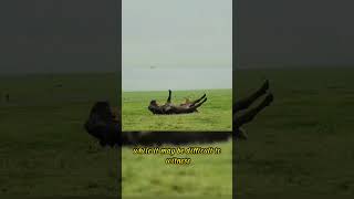 In a split second, two powerful lions pounced on a stray buffalo