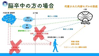 運動学習　各論：教師あり学習　強化学習